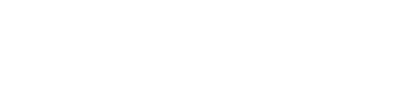 SINGER. Strategie & Struktur.